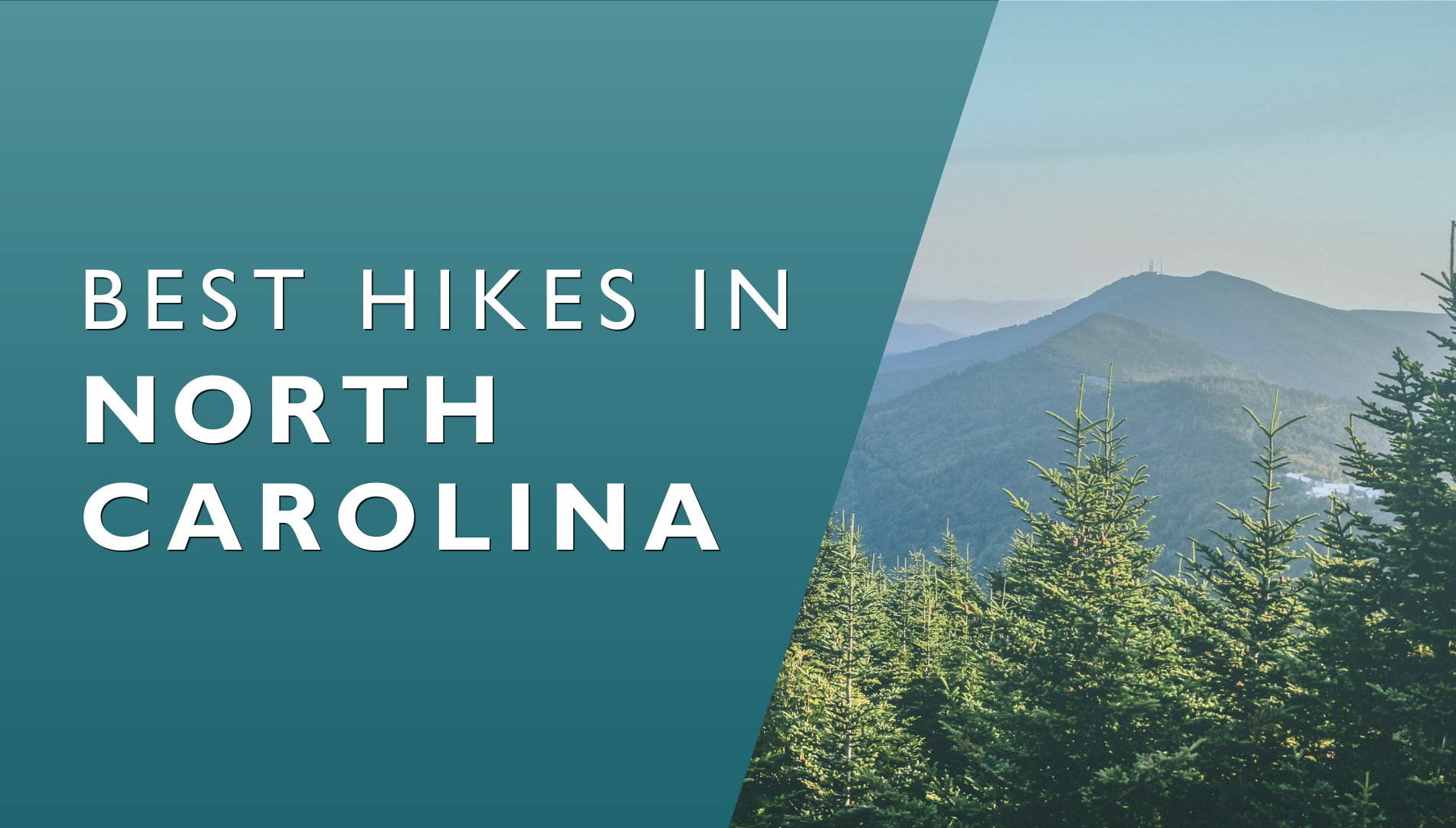 Best Hikes in North Carolina